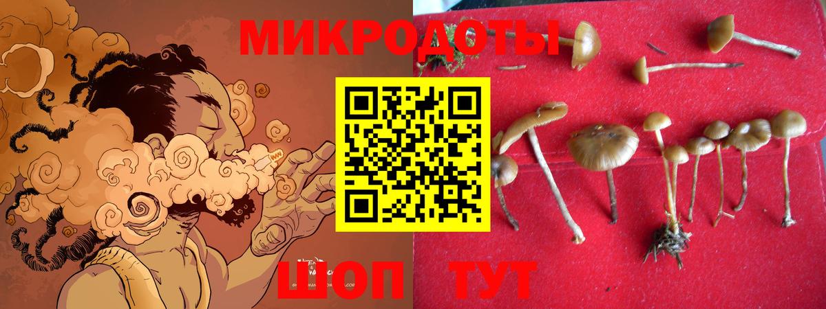 Балтийск  Галлюциногенные грибы Psilocybe  Псилоцибиновые грибы MAGIC MUSHROOMS  Вход с VPN 