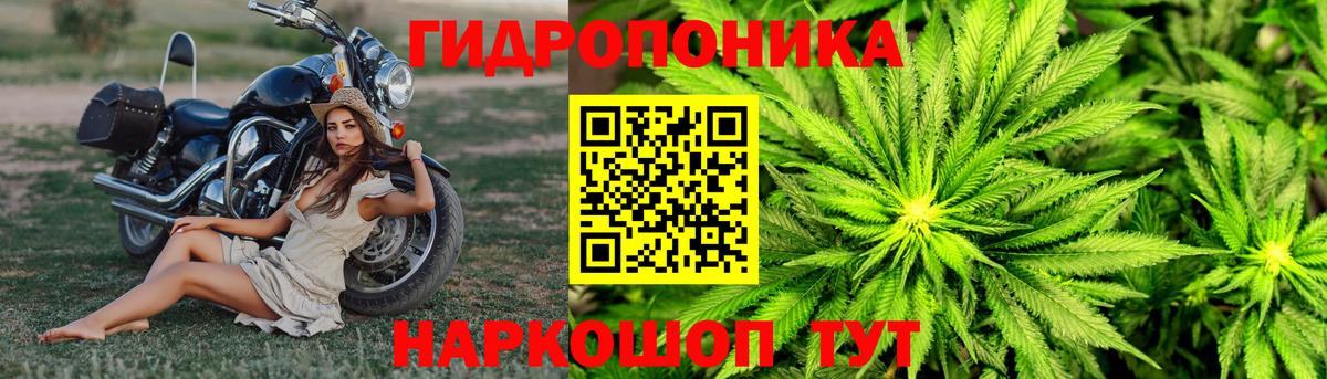 Балтийск  МАРИХУАНА тримм  Марихуана марихуана  Канабис ГИДРОПОН  Вход с VPN 